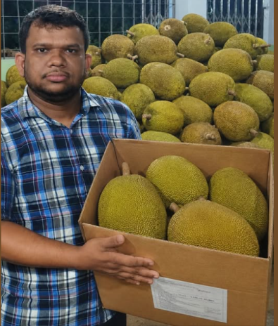 Jackfruit Export to China